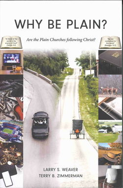 Image of Why Be Plain?