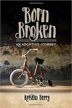 Image of Born Broken: An Adoptive Journey