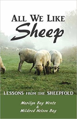 Image of All We Like Sheep: Lessons from the Sheepfold