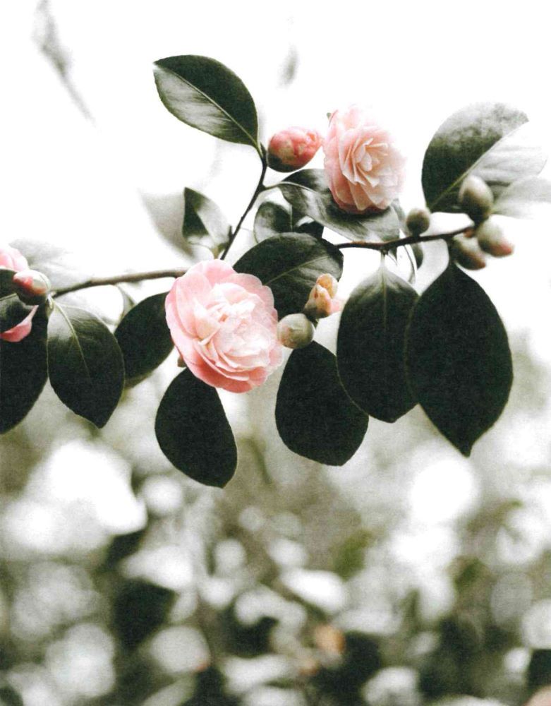 120-0112 Product Image 6