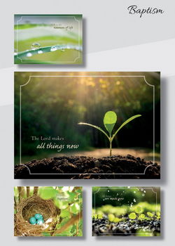 Image of Cards Baptism New Life