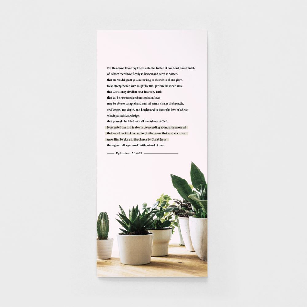 120-0148 Product Image 3