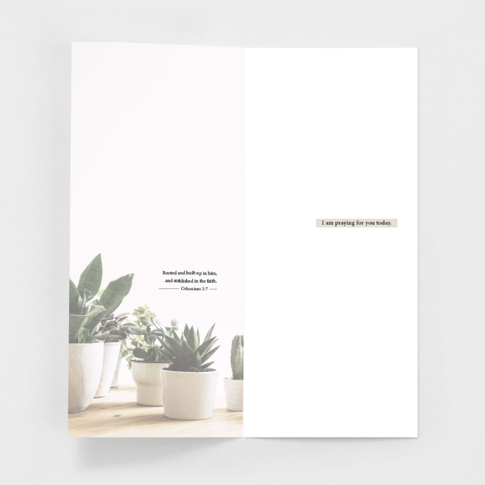 120-0148 Product Image 4