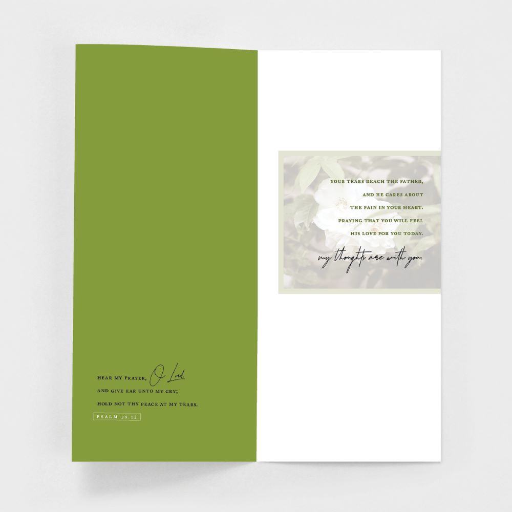 120-0150 Product Image 2