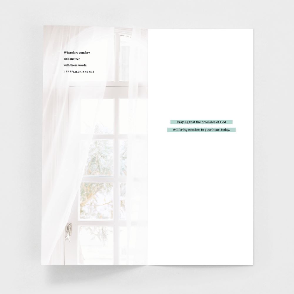 120-0150 Product Image 4