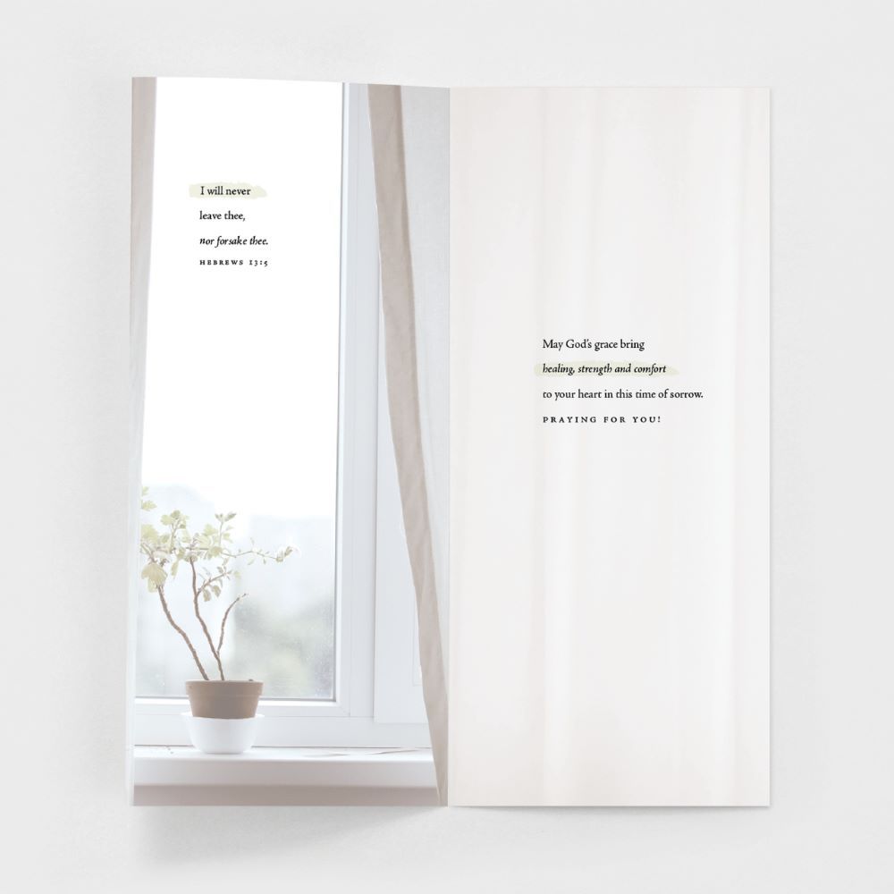 120-0152 Product Image 10