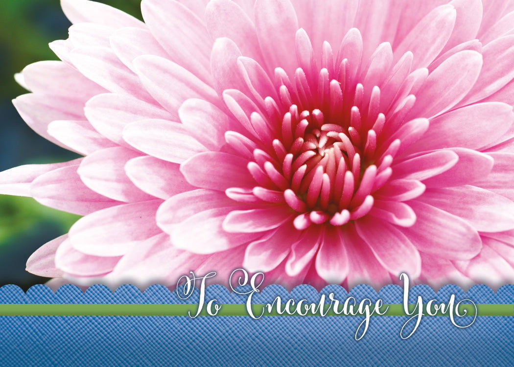 120-0167 Product Image 5