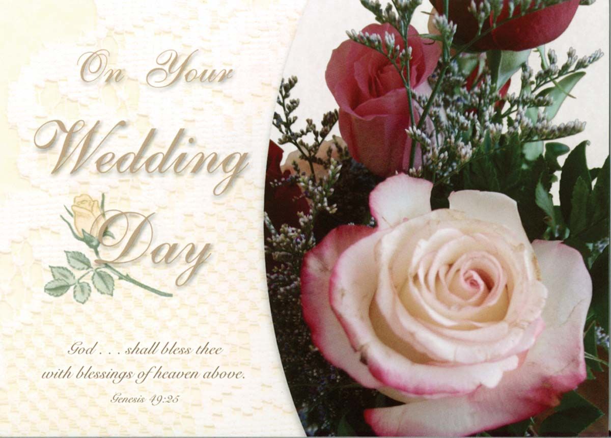 120-0516 Product Image 3