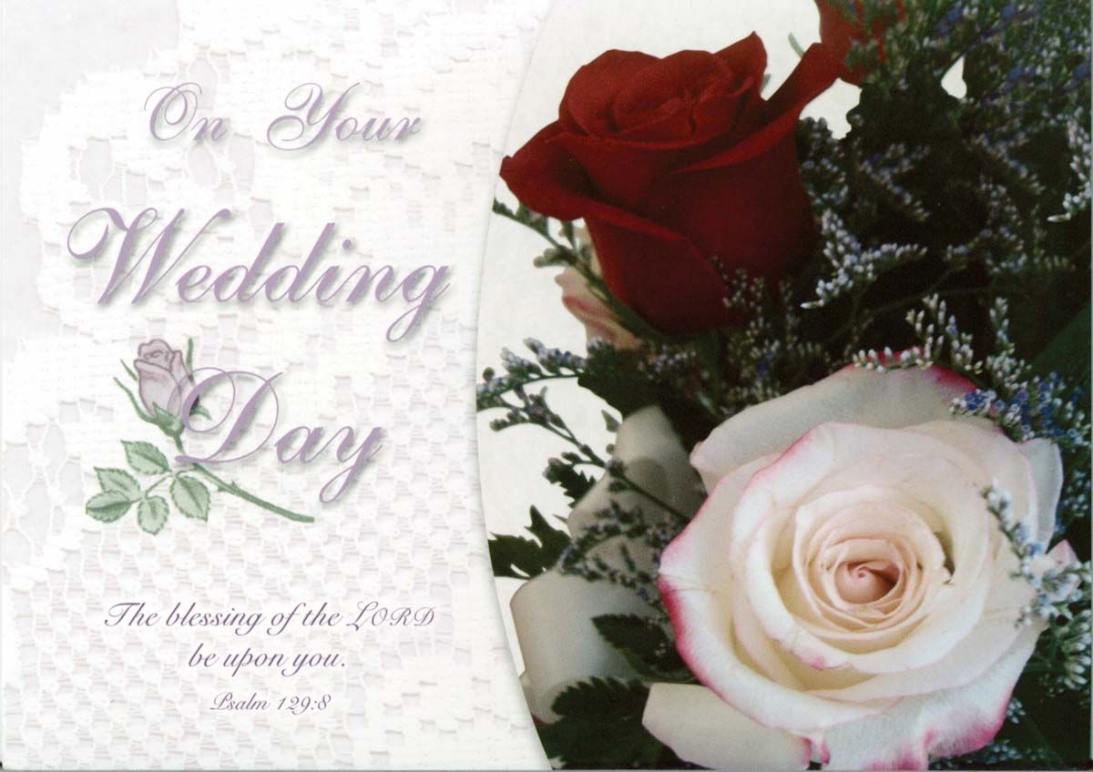 120-0516 Product Image 4