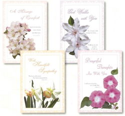 Image of Cards Sympathy Abiding Comfort