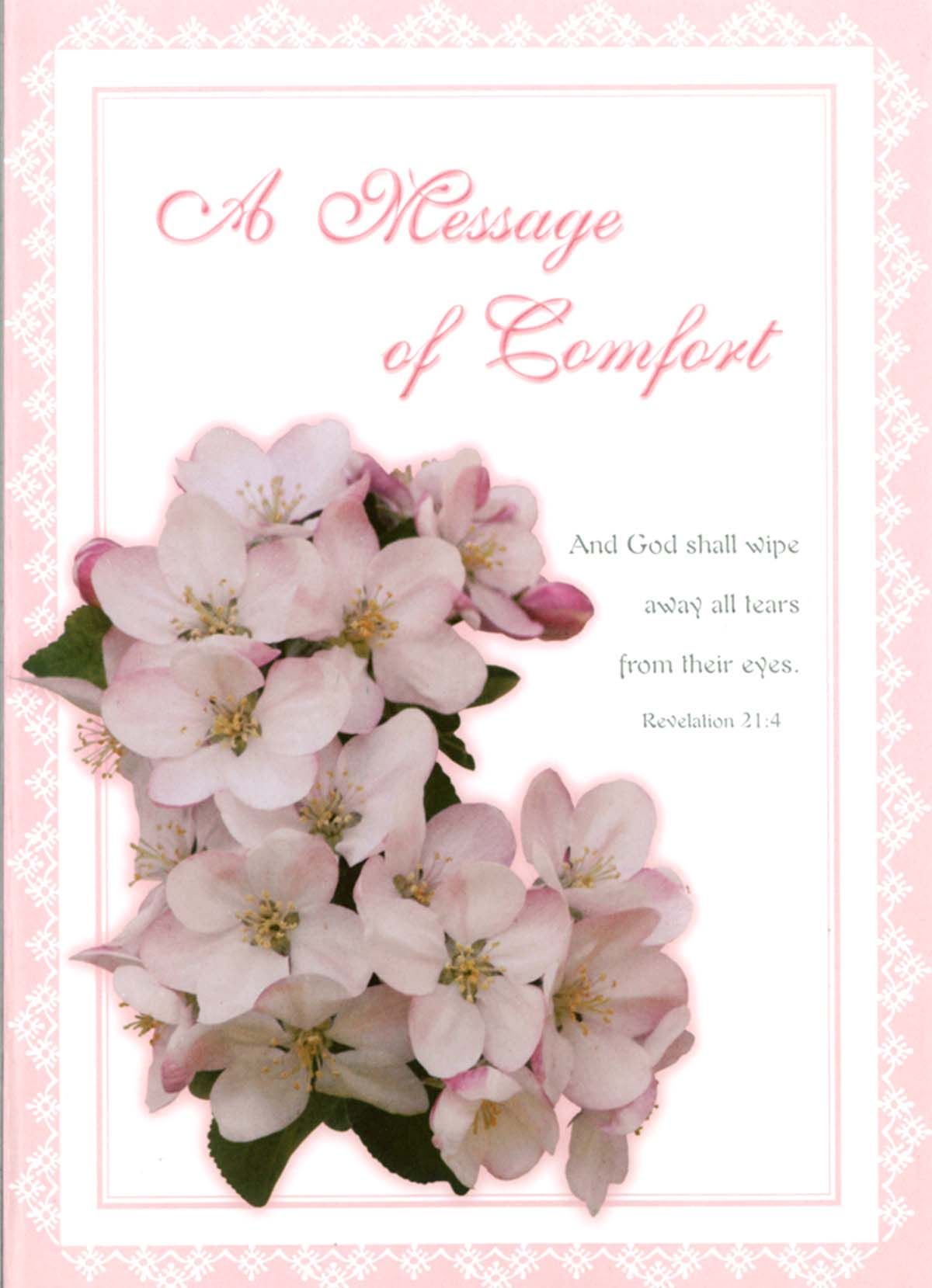 120-0561 Product Image 2