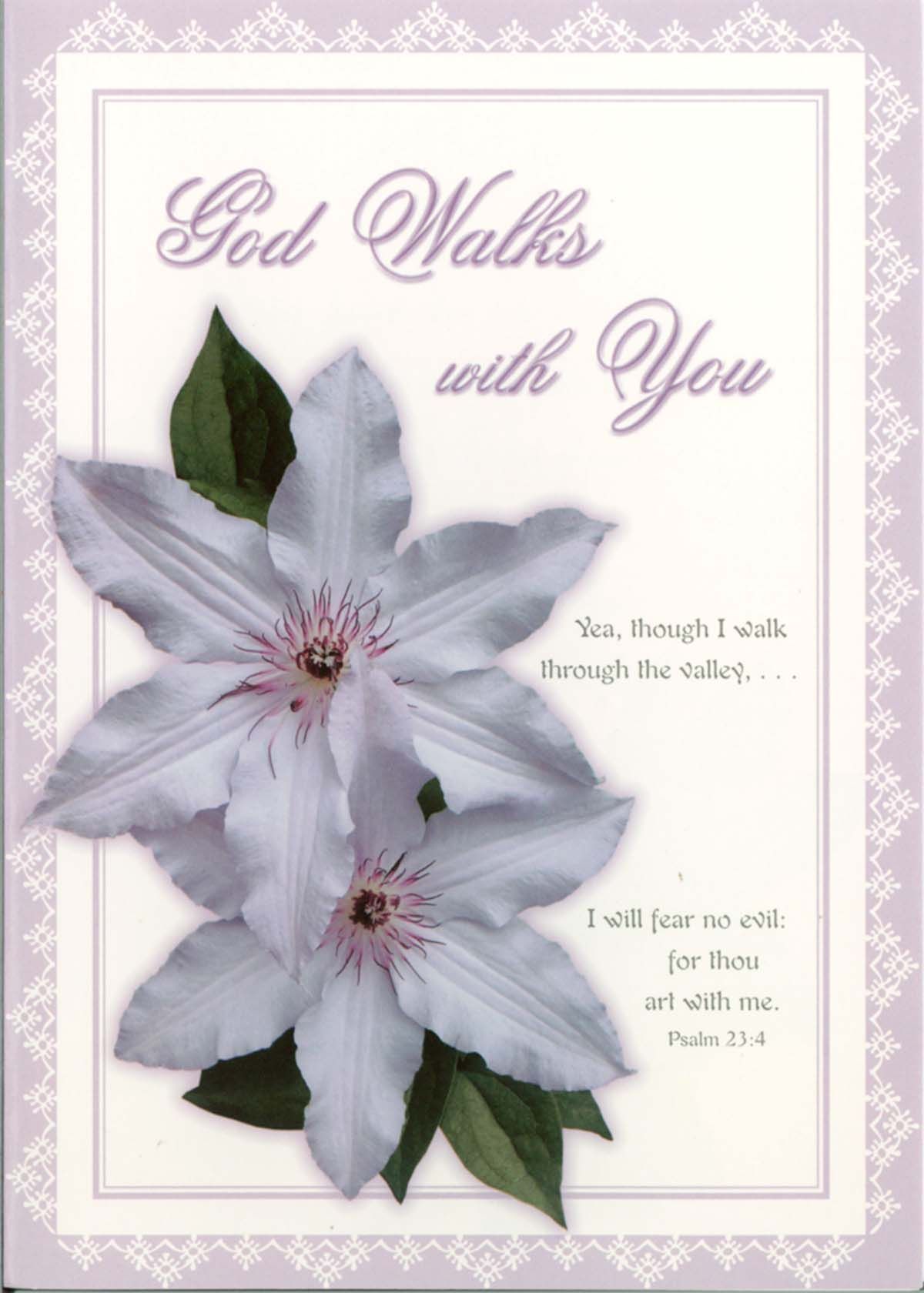 120-0561 Product Image 3