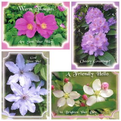 Image of Cards Thinking of You Delicate Beauty