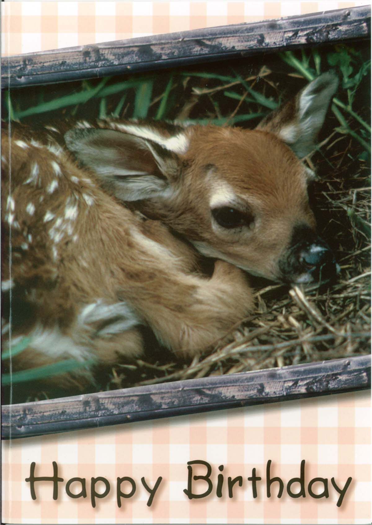 Product 120-0639 - View 2 120-0639 Product Image 2