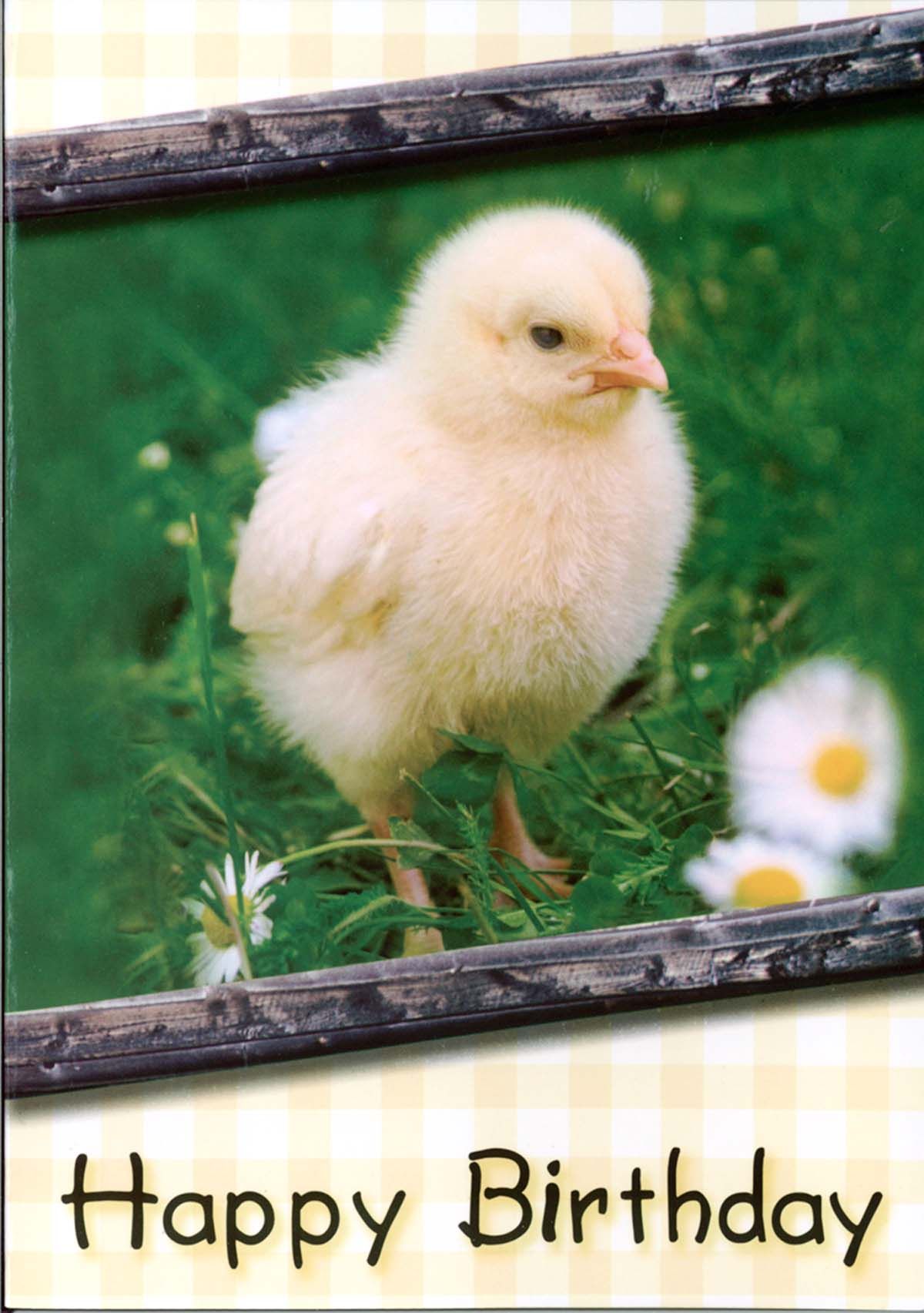 Product 120-0639 - View 3 120-0639 Product Image 3