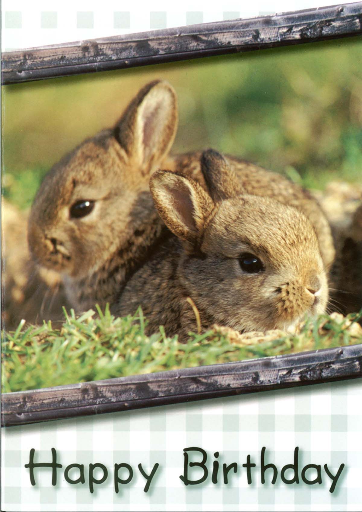 Product 120-0639 - View 4 120-0639 Product Image 4