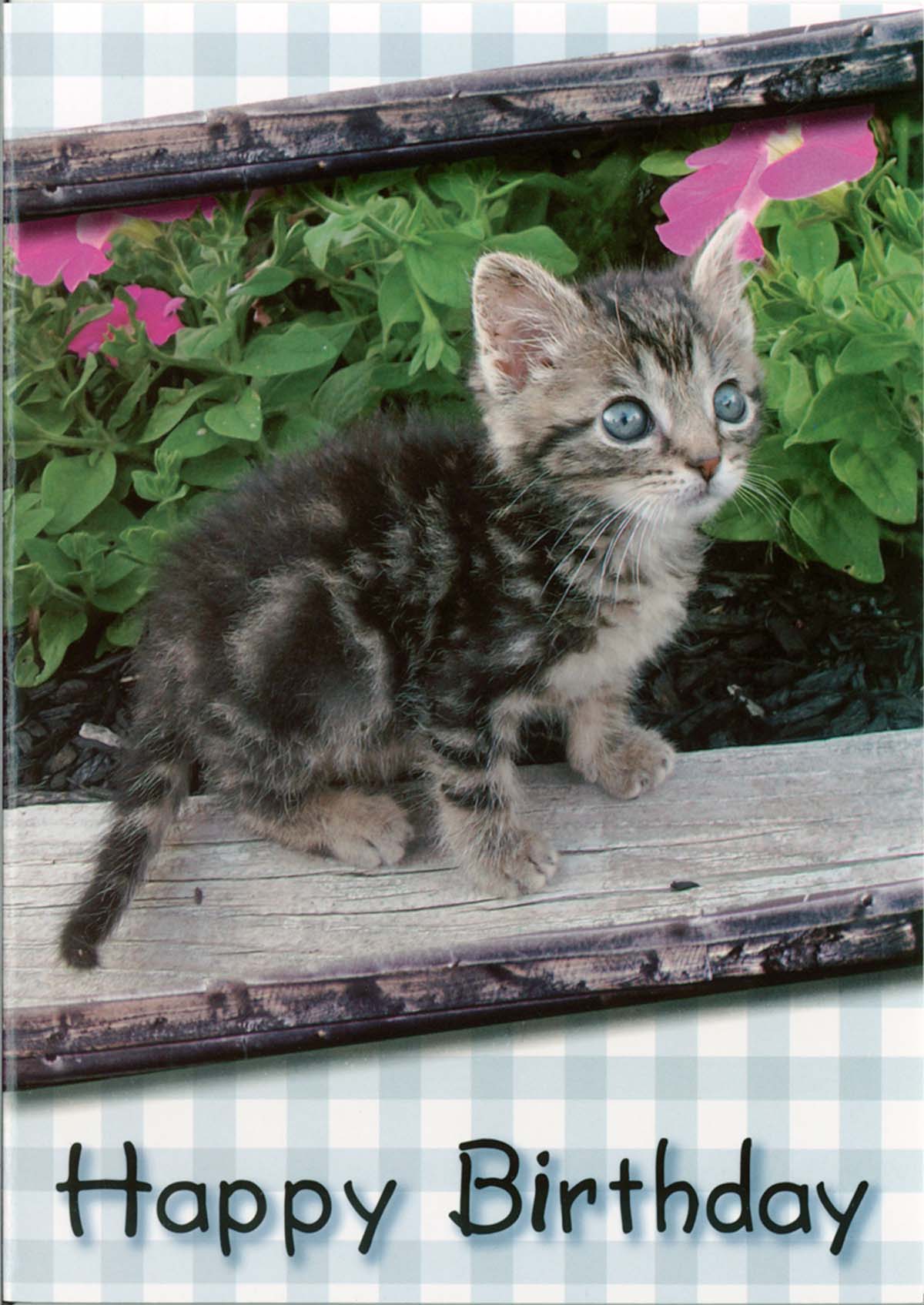 Product 120-0639 - View 5 120-0639 Product Image 5