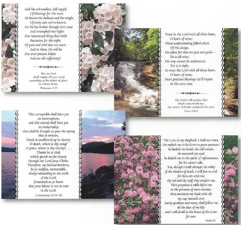 Product 120-0740 - View 1 120-0740 Product Image 1