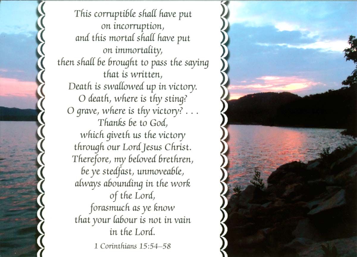 Product 120-0740 - View 3 120-0740 Product Image 3