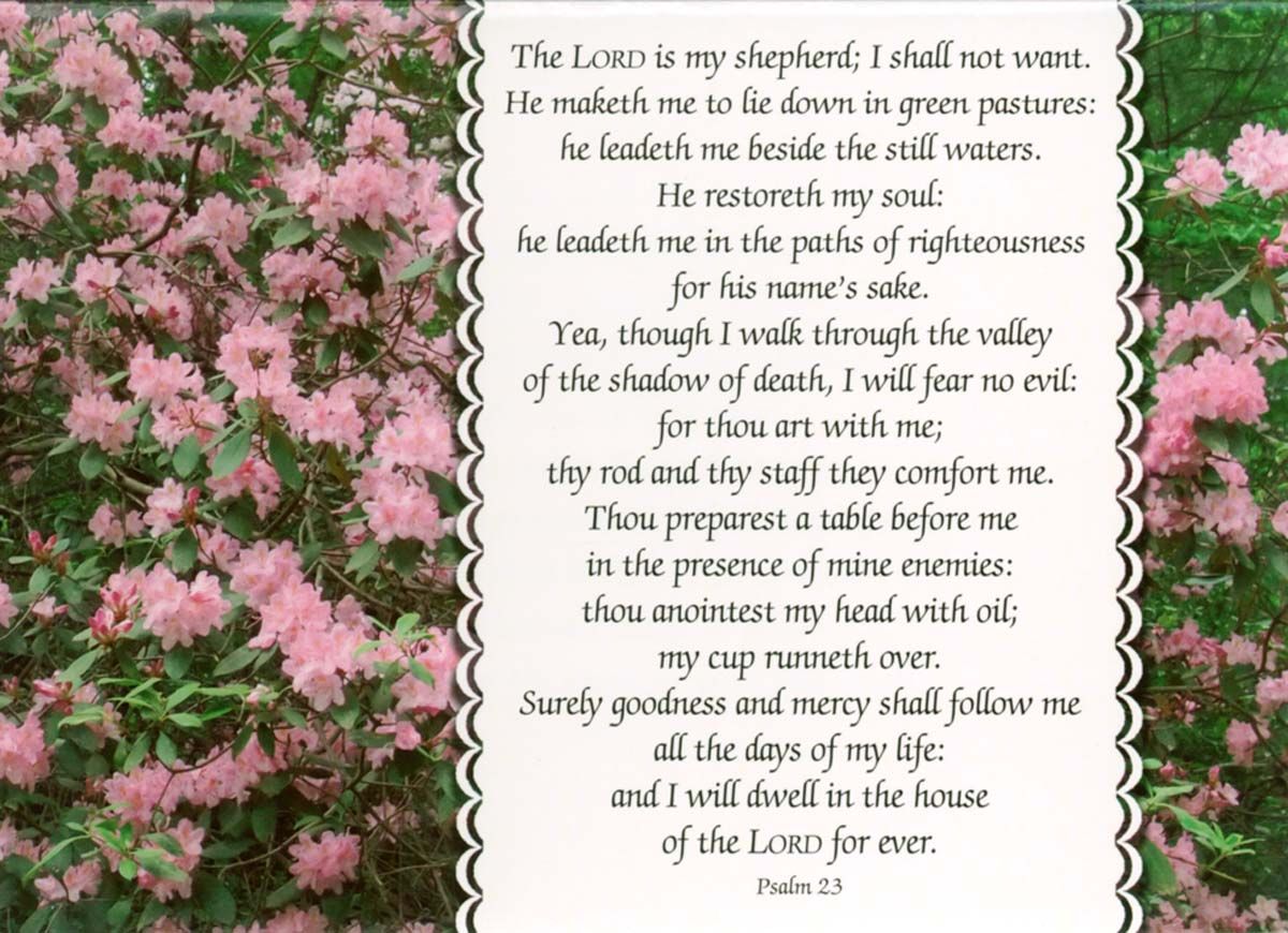 Product 120-0740 - View 4 120-0740 Product Image 4