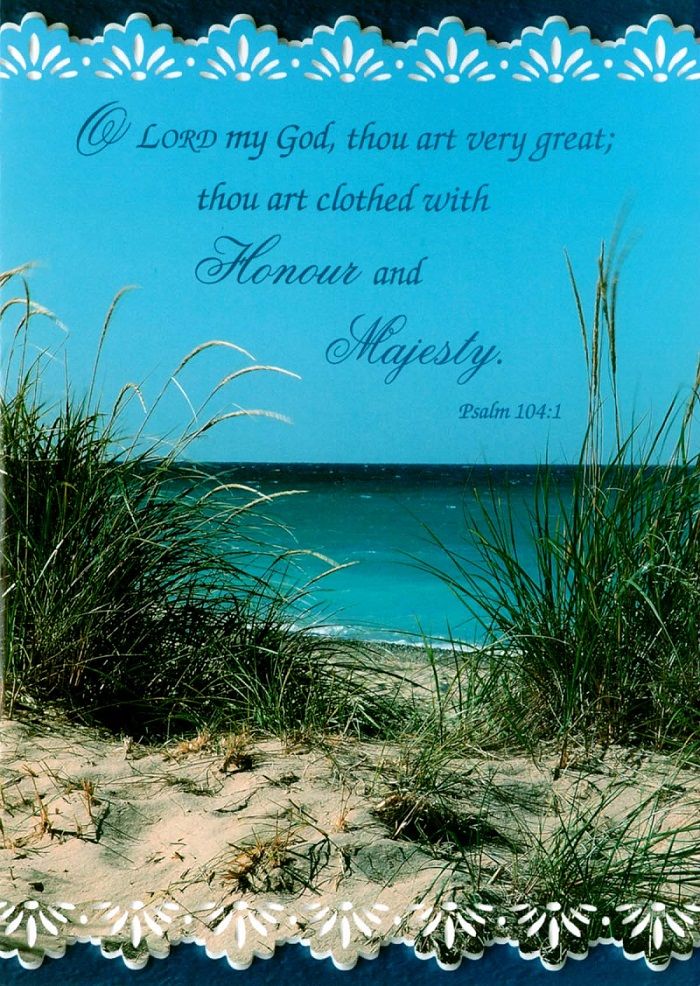 Product 120-0749 - View 4 120-0749 Product Image 4