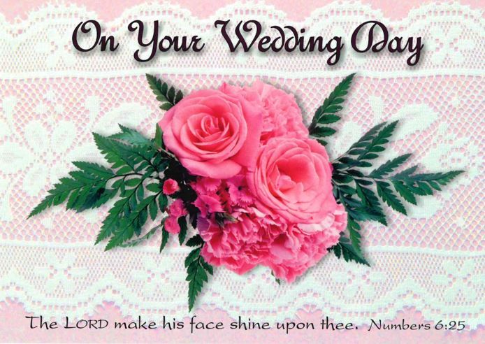 Product 120-0754 - View 3 120-0754 Product Image 3