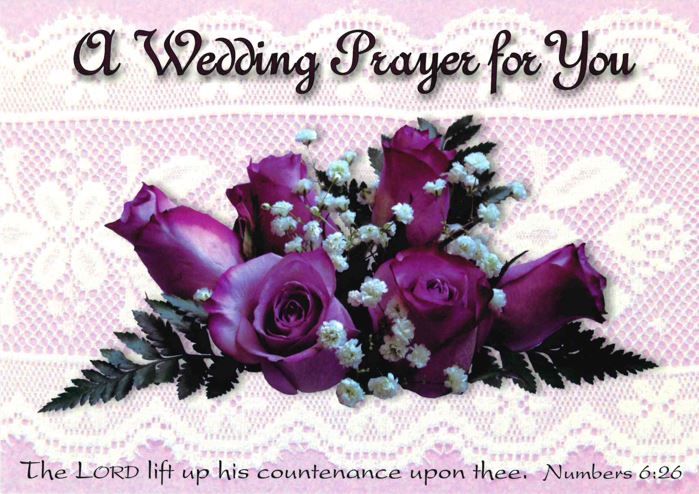 Product 120-0754 - View 5 120-0754 Product Image 5