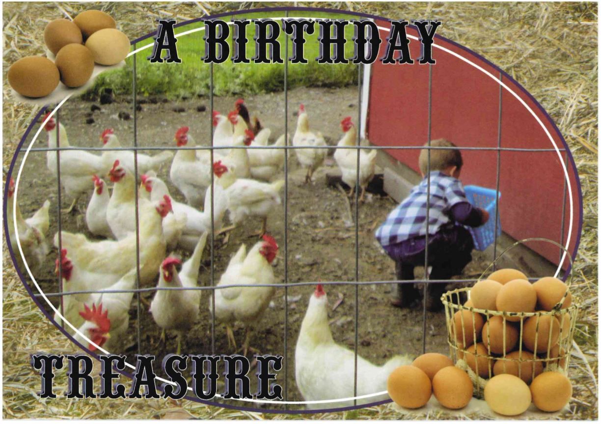 120-2233 Product Image 2