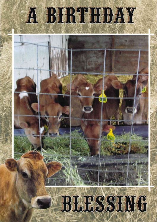 120-2233 Product Image 5