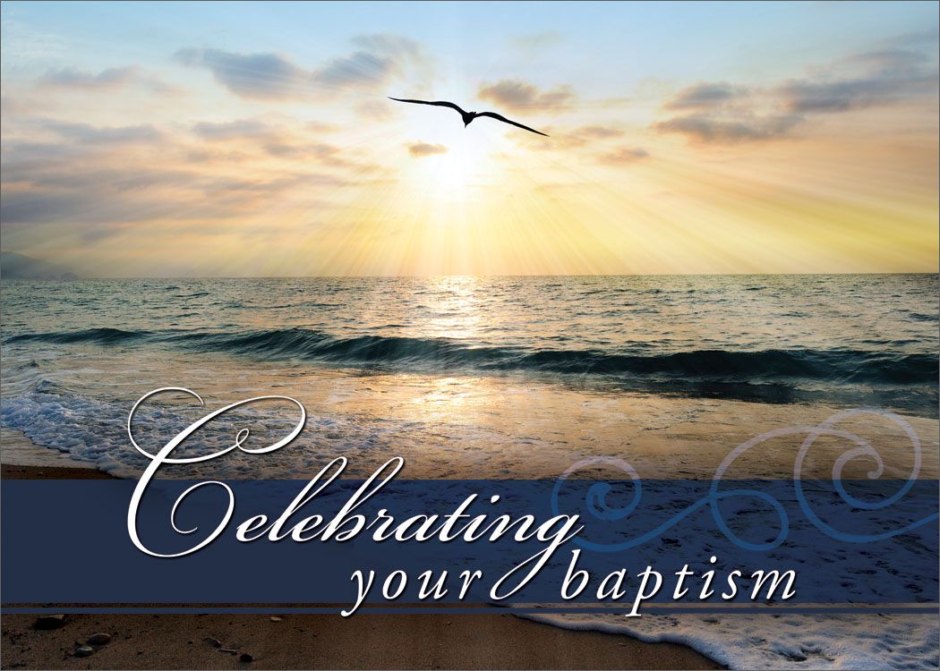 Product 120-2280 - View 2 120-2280 Product Image 2