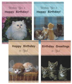 Image of Cards Birthday Cute Kittens Children’s Birthday