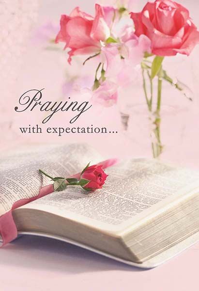 Product 120-2410 - View 5 120-2410 Product Image 5