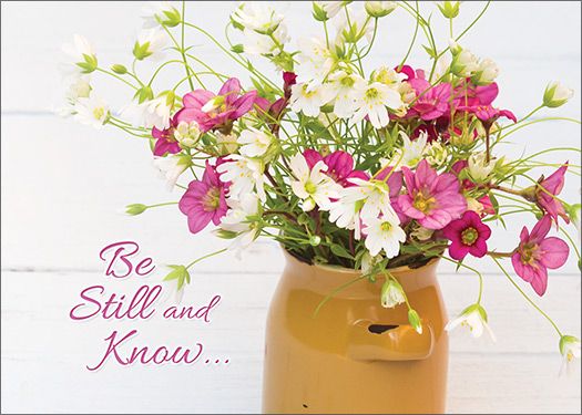 Product 120-2459 - View 4 120-2459 Product Image 4