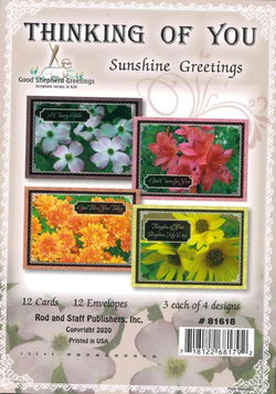 Image of Cards Thinking of You Sunshine Greetings