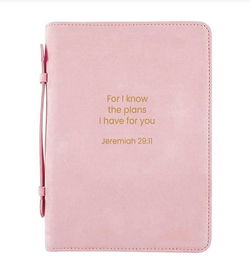 Image of BC His Plans Pink XLarge