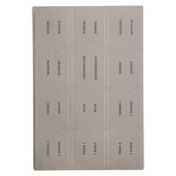 Image of Bible Indexing Tabs Silver Foil w/Black Print
