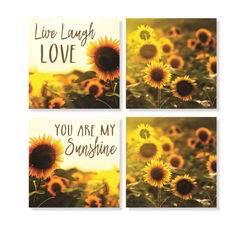 Image of Coaster 4′ Sunshine Set