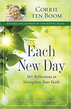 Image of Each New Day: 365 Reflections to Strengthen Your Faith