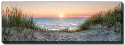 Image of Canvas – Dune Beach 20×60