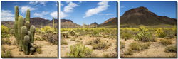 Image of Canvas Arizona Desert 20’x20′ x3