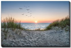 Image of Sunset Beach Path 22×28