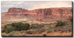 Image of Dusty Desert 20’x40′