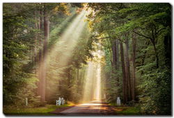 Image of This Beam is Booming Canvas 30’x45′