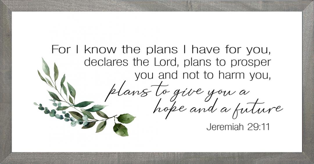 Image of Farmhouse Grey Plans I have for You 8×16