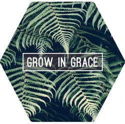 Image of Magnet Grow in Grace