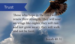 Image of Trust: Pass Along Cards