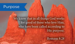 Image of Purpose: Pass Along Cards