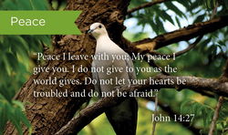 Image of Peace 2 Cor. 12: Pass Along Cards