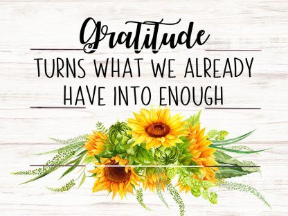 Product 132-7666 - View 1 132-7666 Product Image 1