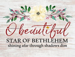 Image of Pallet Art Beautiful Star of Bethlehem 9×12